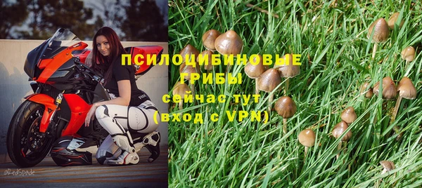 дурь Армянск