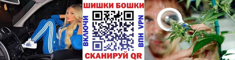 кракен онион  купить наркотики сайты  Спасск-Дальний  Бошки марихуана SATIVA & INDICA 